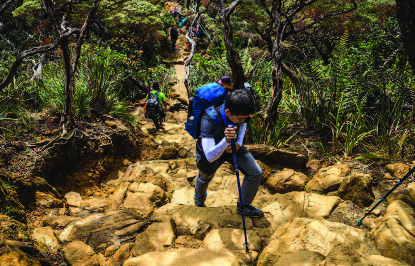 3D2N Kinabalu Mountain Climb
